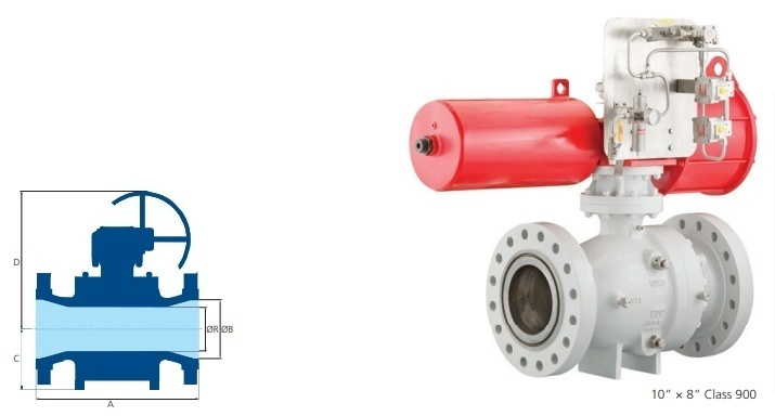 Trunnion-mounted Ball Valves